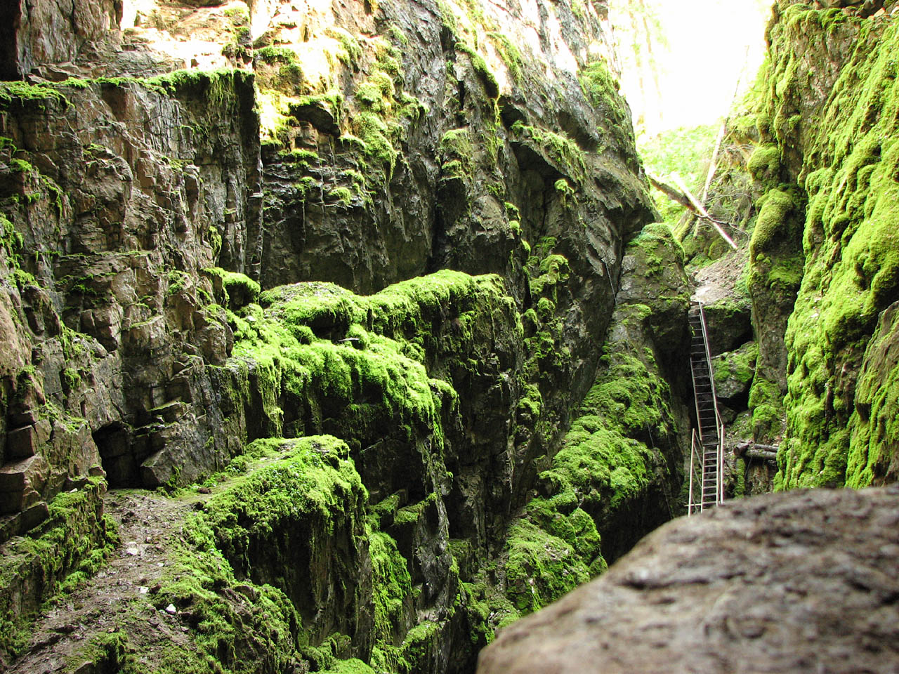 Olenyi Ruchyi (Deers Creeks)